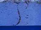 [TodoMarino.com] Primer acuario marino, empezamos con algo mas de 300l