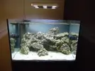 [TodoMarino.com] Espero sea mi próximo reef.