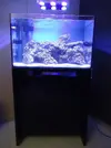 [TodoMarino.com] Espero sea mi próximo reef.