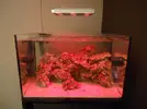 [TodoMarino.com] Pantalla Mitras LX 6100 con LEDs U.V