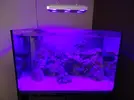 [TodoMarino.com] Pantalla Mitras LX 6100 con LEDs U.V