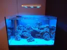 [TodoMarino.com] Pantalla Mitras LX 6100 con LEDs U.V