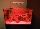 [TodoMarino.com] Pantalla Mitras LX 6100 con LEDs U.V