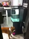 [TodoMarino.com] Para Este Cubic Que Me Recomendais