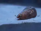 [TodoMarino.com] Primer acuario marino, empezamos con algo mas de 300l