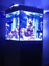 [TodoMarino.com] mi acuario en proceso