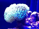 [TodoMarino.com] mi acuario en proceso