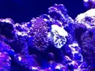 [TodoMarino.com] mi acuario en proceso