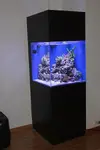 [TodoMarino.com] Nuevo ASTRO'S REEF