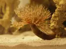 [TodoMarino.com] Primer acuario marino, empezamos con algo mas de 300l