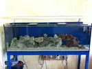 [TodoMarino.com] Ampliamos a 300L