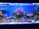 [TodoMarino.com] Mi nano de 35l