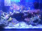 [TodoMarino.com] Mi nano de 35l