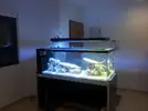 [TodoMarino.com] Conexión Aquaflash v1 al profilux 3 ex