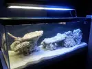 [TodoMarino.com] Conexión Aquaflash v1 al profilux 3 ex