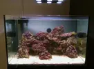 [TodoMarino.com] Espero sea mi próximo reef.
