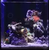 [TodoMarino.com] Mi Primer Acuario!