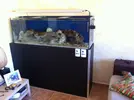 [TodoMarino.com] Ampliamos a 300L