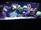 [TodoMarino.com] Mi trocito de mar en casa