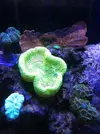 [TodoMarino.com] Mi trocito de mar en casa