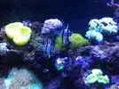 [TodoMarino.com] Mi trocito de mar en casa