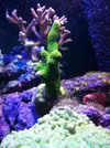[TodoMarino.com] Mi trocito de mar en casa