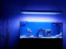 [TodoMarino.com] Mi primer marino 240L..