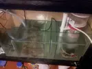 [TodoMarino.com] Mi primer marino 240L..