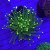 [TodoMarino.com] Aquatix Life