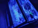[TodoMarino.com] Pantalla coral led