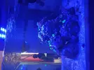 [TodoMarino.com] Pantalla coral led