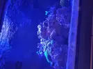 [TodoMarino.com] Pantalla coral led