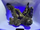 [TodoMarino.com] Pieza de roca xxxl todo en conjunto en una pieza