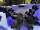 [TodoMarino.com] Pieza de roca xxxl todo en conjunto en una pieza