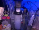 [TodoMarino.com] Venta equipo completo con roca y corales Barcelona