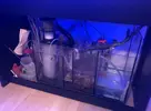 [TodoMarino.com] Venta equipo completo con roca y corales Barcelona