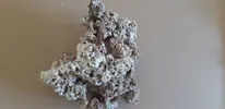 [TodoMarino.com] Cambio de rumbo, de dulce a marino....
