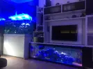 [TodoMarino.com] Ampliacion acuario marino de 200 a 2000 litros