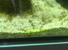 [TodoMarino.com] El Reef de Little