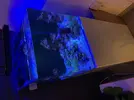 [TodoMarino.com] ACUARIO COMPLETO OPEN REEF BARCELONA (urna, mueble, sump, radeon, nyos quantum , bombas subida, movimiento, osmosis, comedero, todo..)