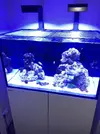[TodoMarino.com] Nuevo proyecto Reefer Red Sea 250