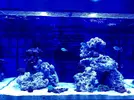 [TodoMarino.com] Nuevo proyecto Reefer Red Sea 250
