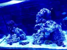[TodoMarino.com] Nuevo proyecto Reefer Red Sea 250