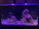 [TodoMarino.com] Nuevo proyecto Reefer Red Sea 250