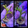 [TodoMarino.com] Esquejes de Acropora - Madrid