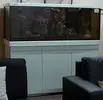 [TodoMarino.com] Venta urgente de acuario completo (Red Sea MAX S-650)