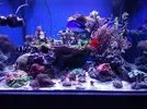 [TodoMarino.com] (Vendido) Pantalla Kessil ap700 por desmonte