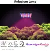 [TodoMarino.com] Led PopBloom para refugio
