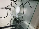 [TodoMarino.com] Primer dia de ciclado, lio con nivel en el sump , ruidos, skymmer ..etc