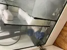 [TodoMarino.com] Primer dia de ciclado, lio con nivel en el sump , ruidos, skymmer ..etc